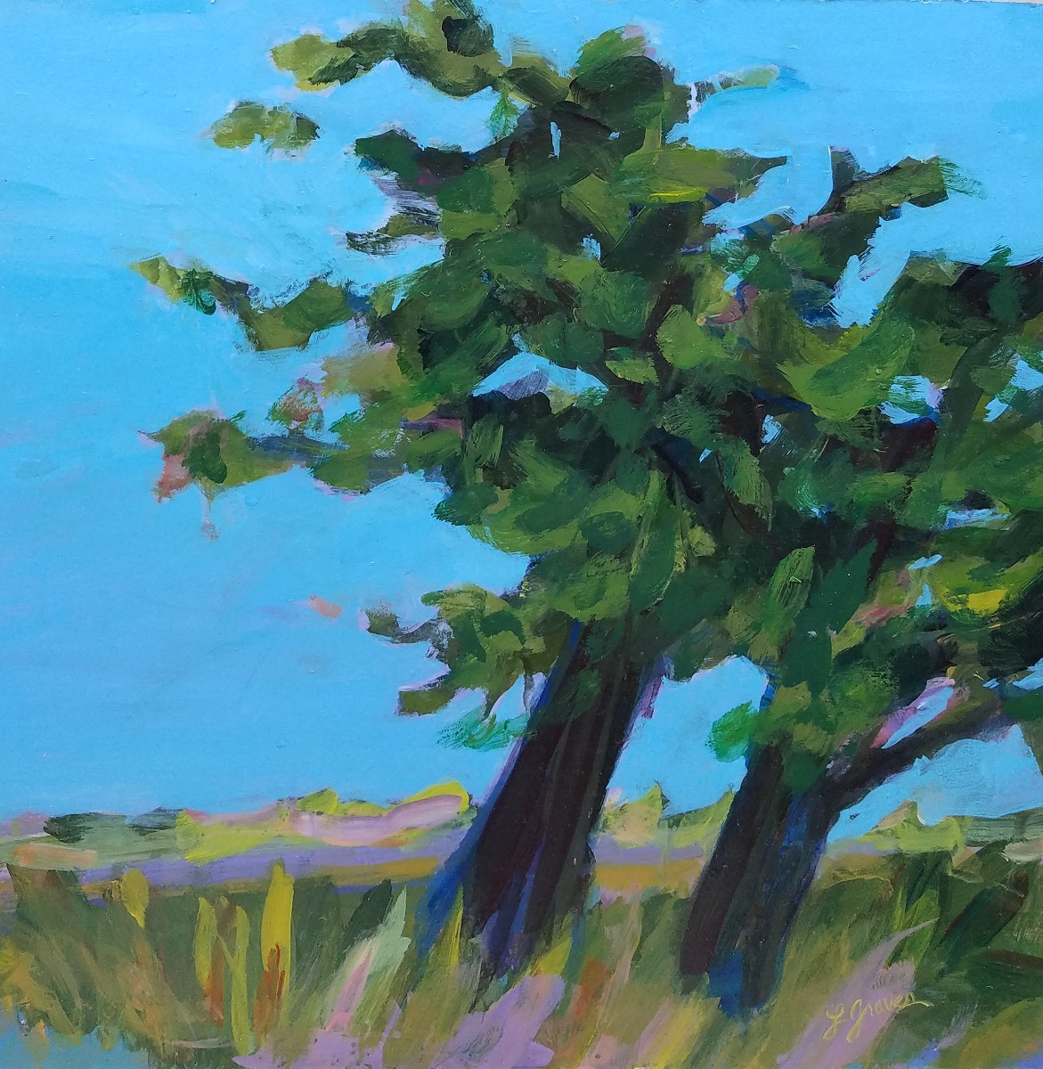 Pt Cabrillo Trees, $200